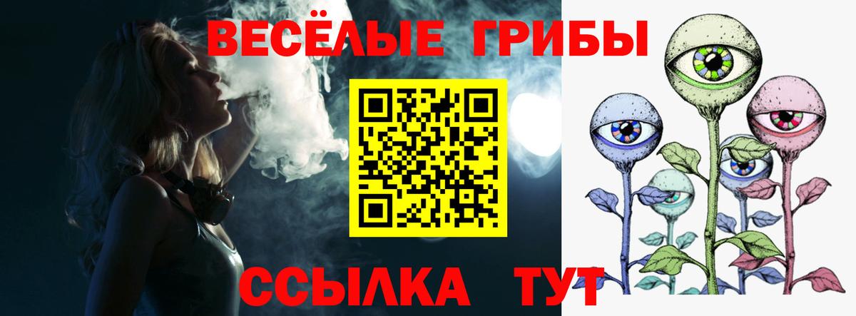 Вольск  закладка  Вход с VPN  Галлюциногенные грибы MAGIC MUSHROOMS 